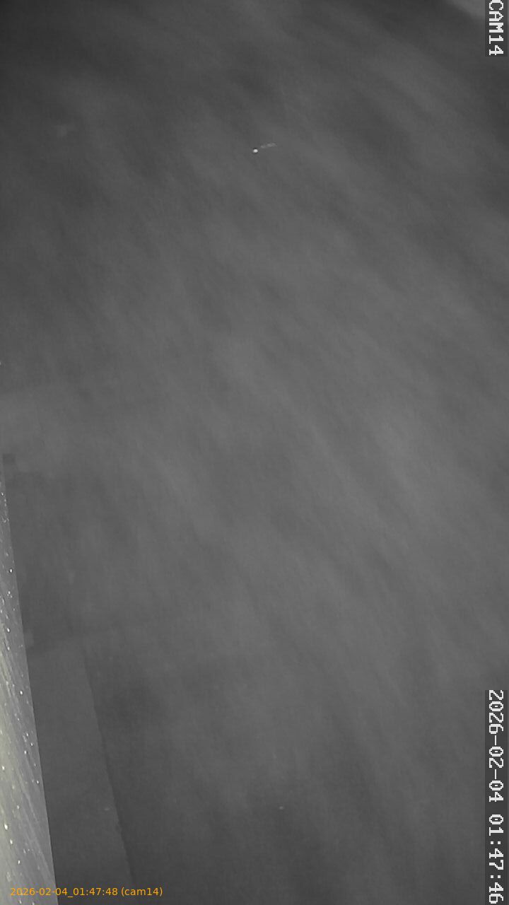 thumbnail_20260204014748