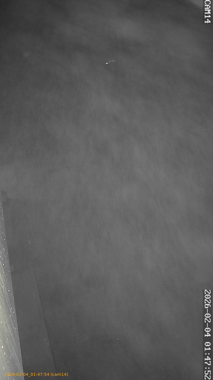 thumbnail_20260204014754