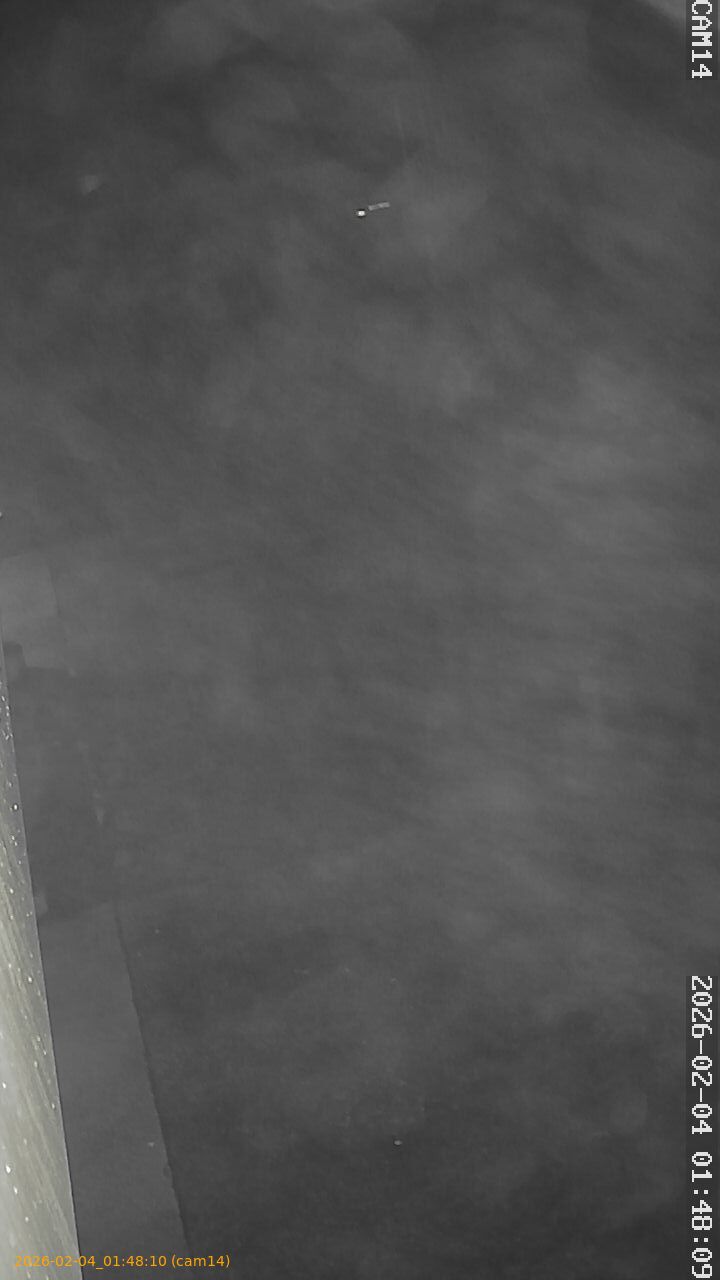 thumbnail_20260204014810