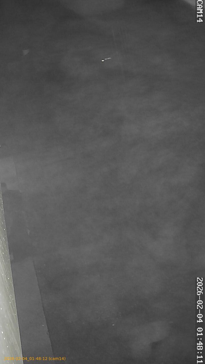 thumbnail_20260204014812