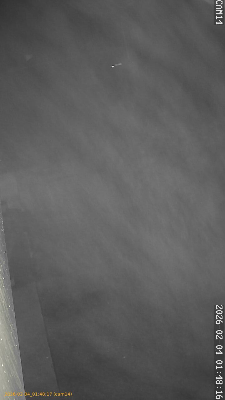 thumbnail_20260204014817