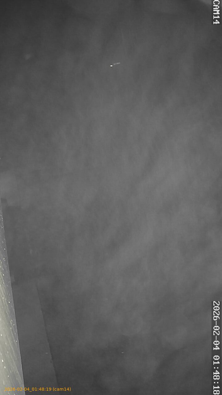 thumbnail_20260204014819