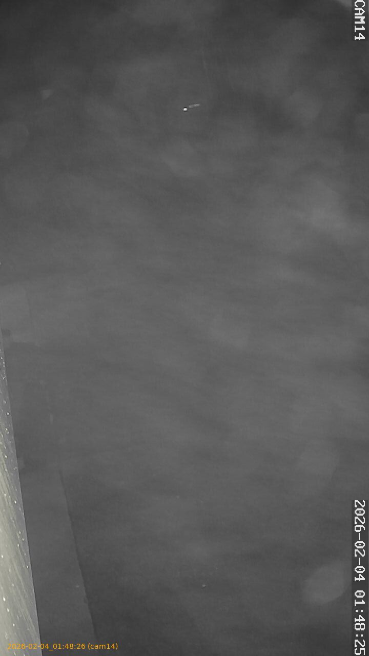 thumbnail_20260204014826