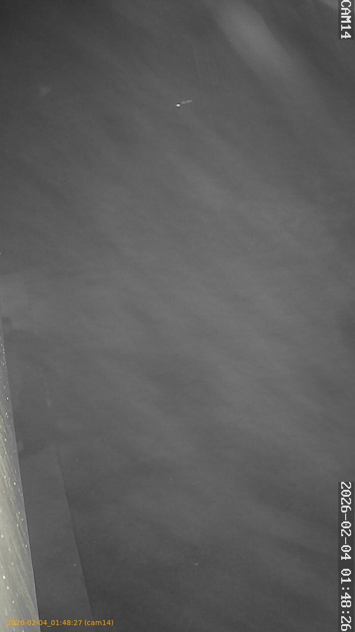 thumbnail_20260204014827