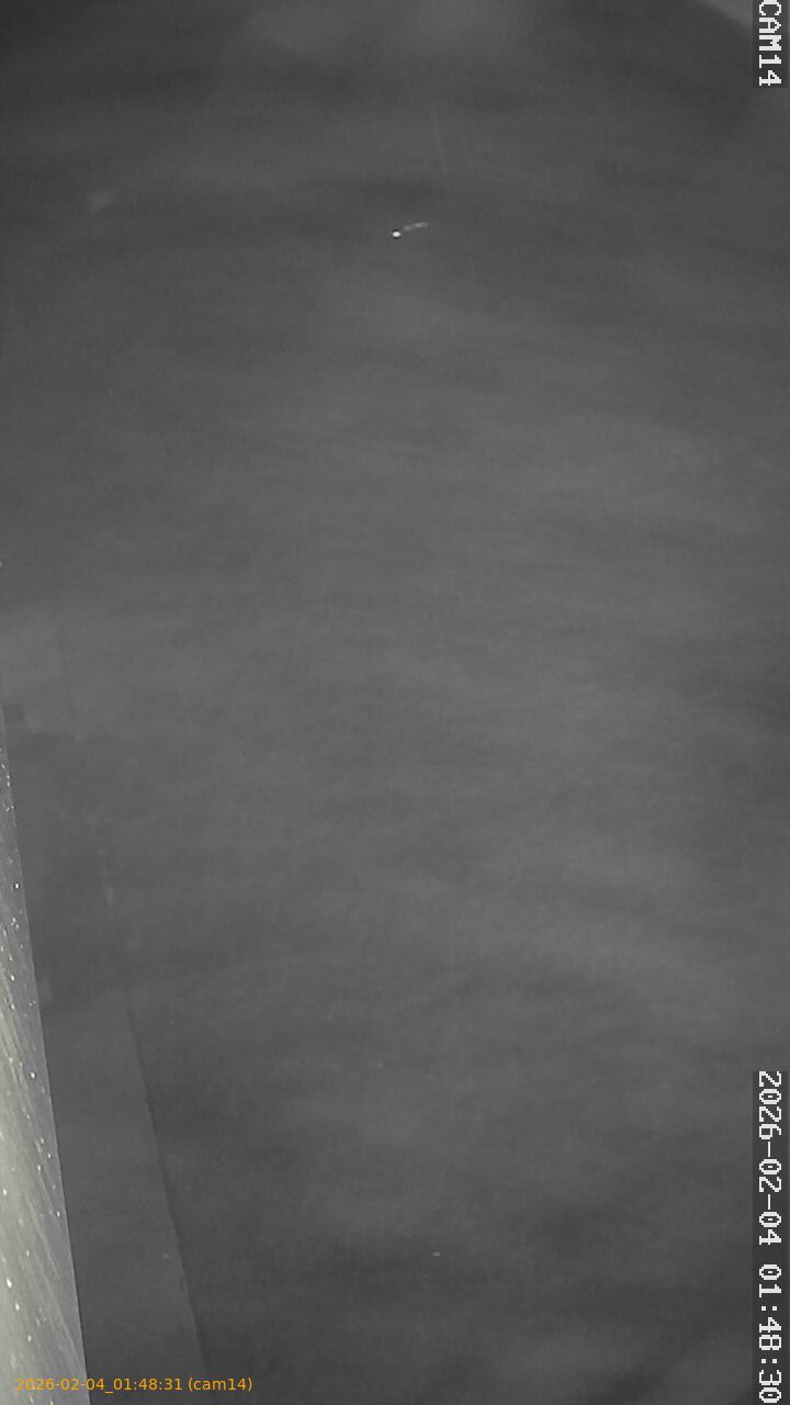 thumbnail_20260204014831