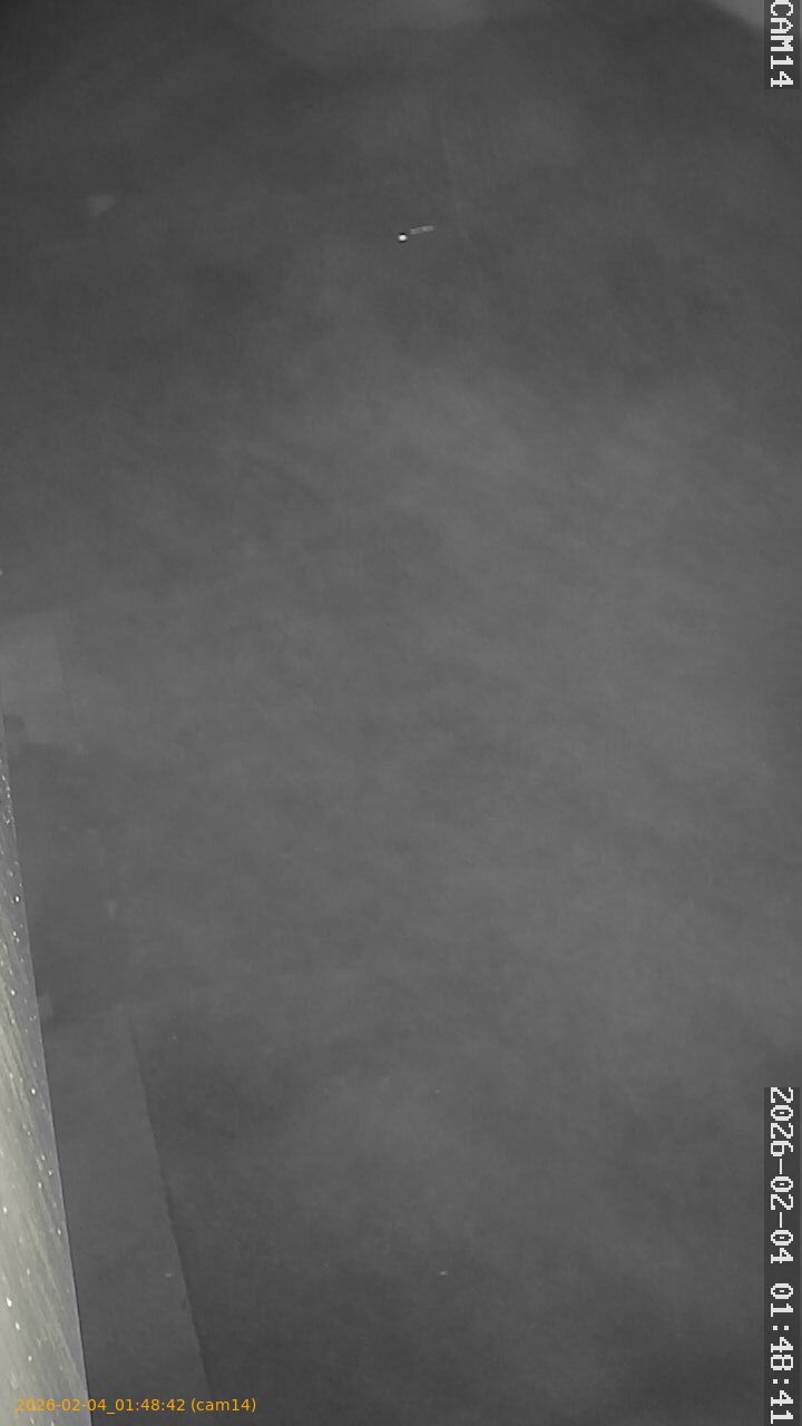 thumbnail_20260204014842