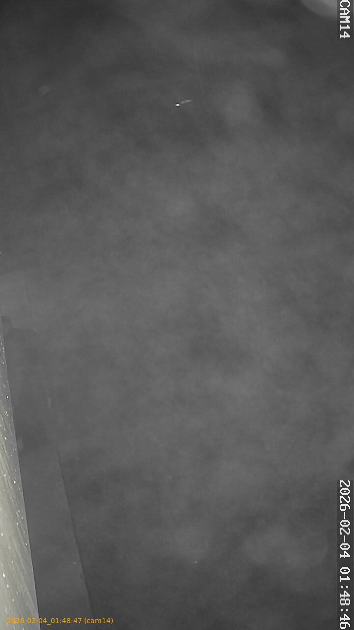 thumbnail_20260204014847