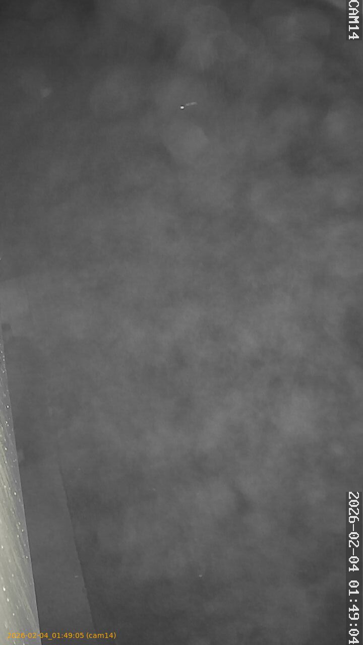 thumbnail_20260204014905