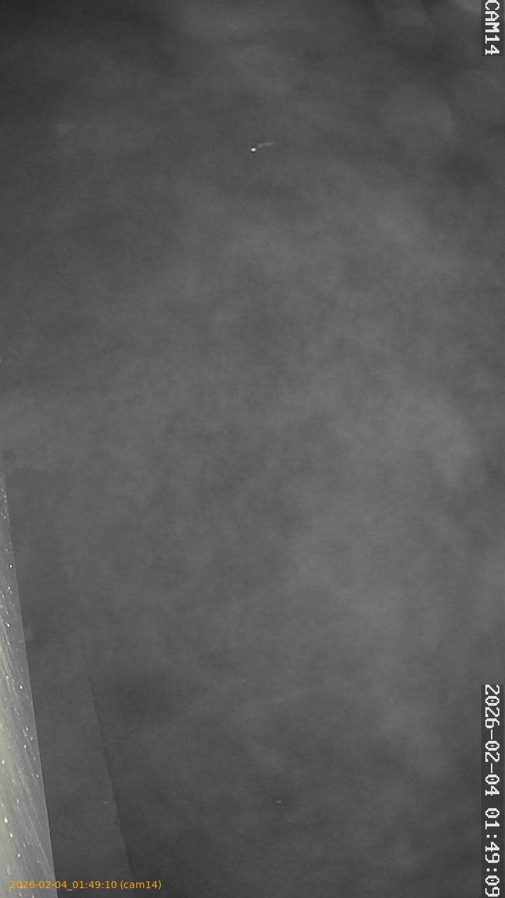 thumbnail_20260204014910