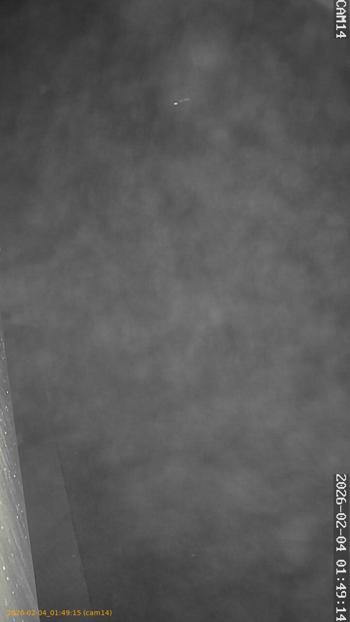 thumbnail_20260204014915