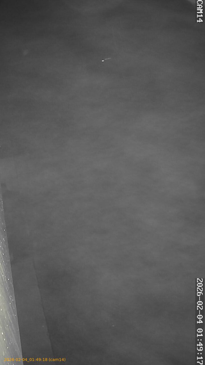 thumbnail_20260204014918