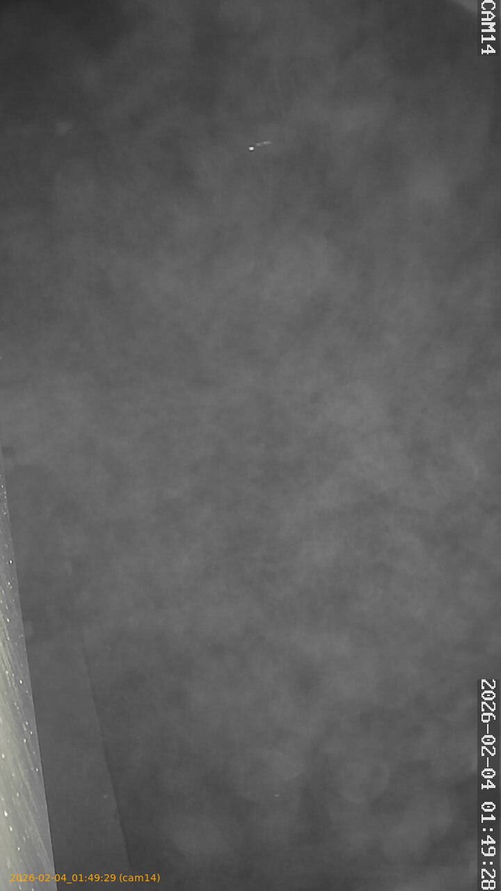 thumbnail_20260204014929