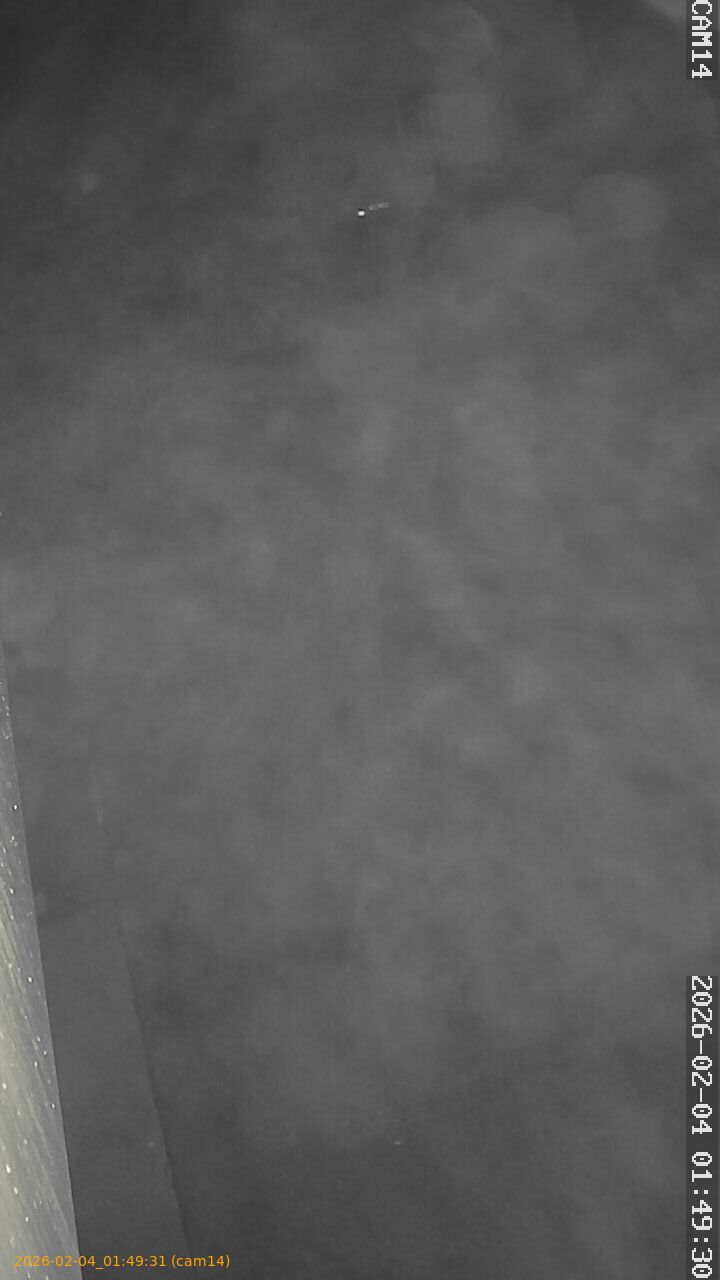 thumbnail_20260204014931