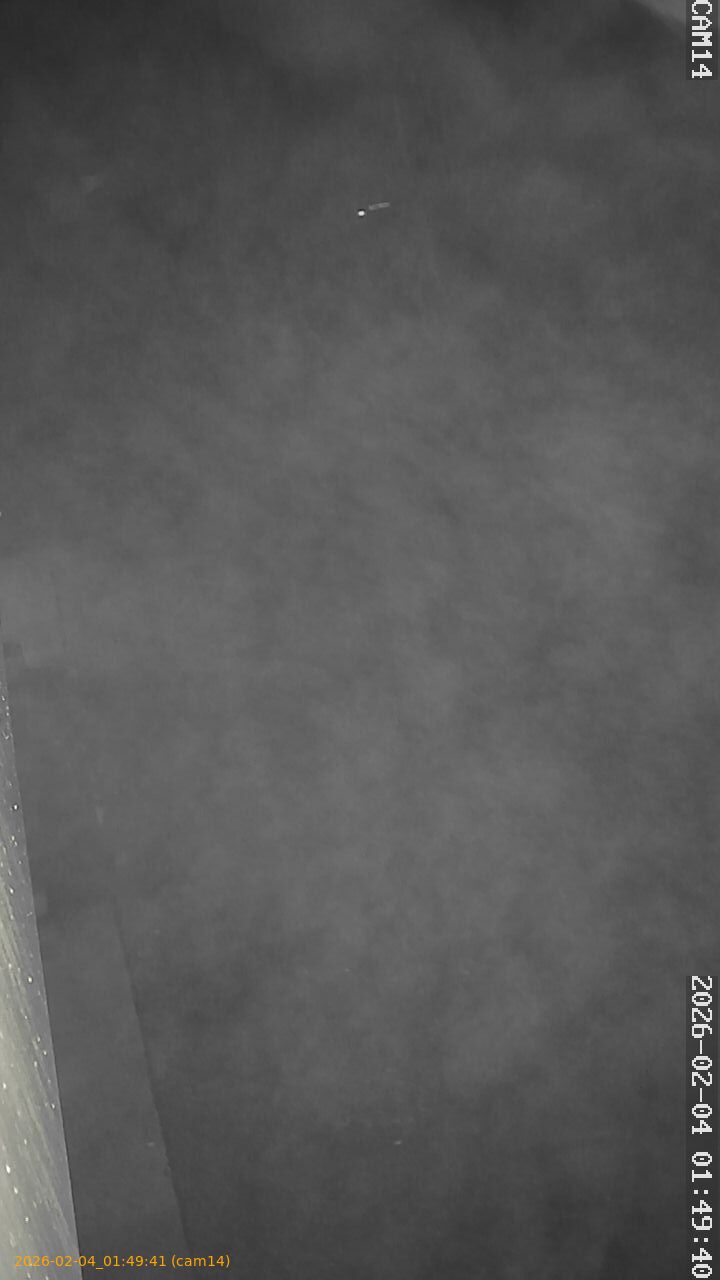 thumbnail_20260204014941