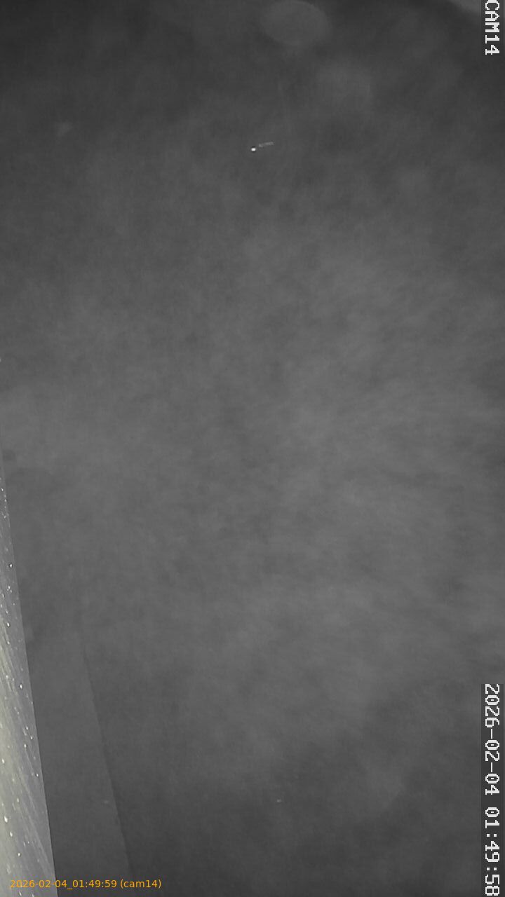 thumbnail_20260204014959