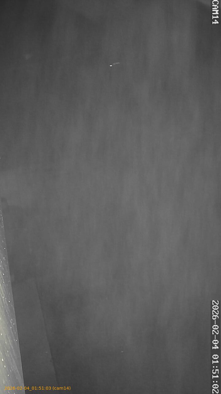 thumbnail_20260204015103