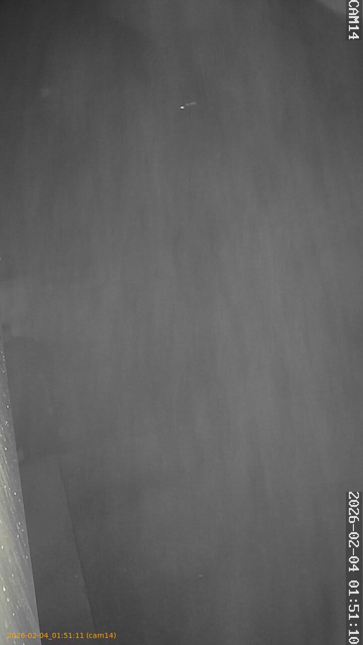 thumbnail_20260204015111