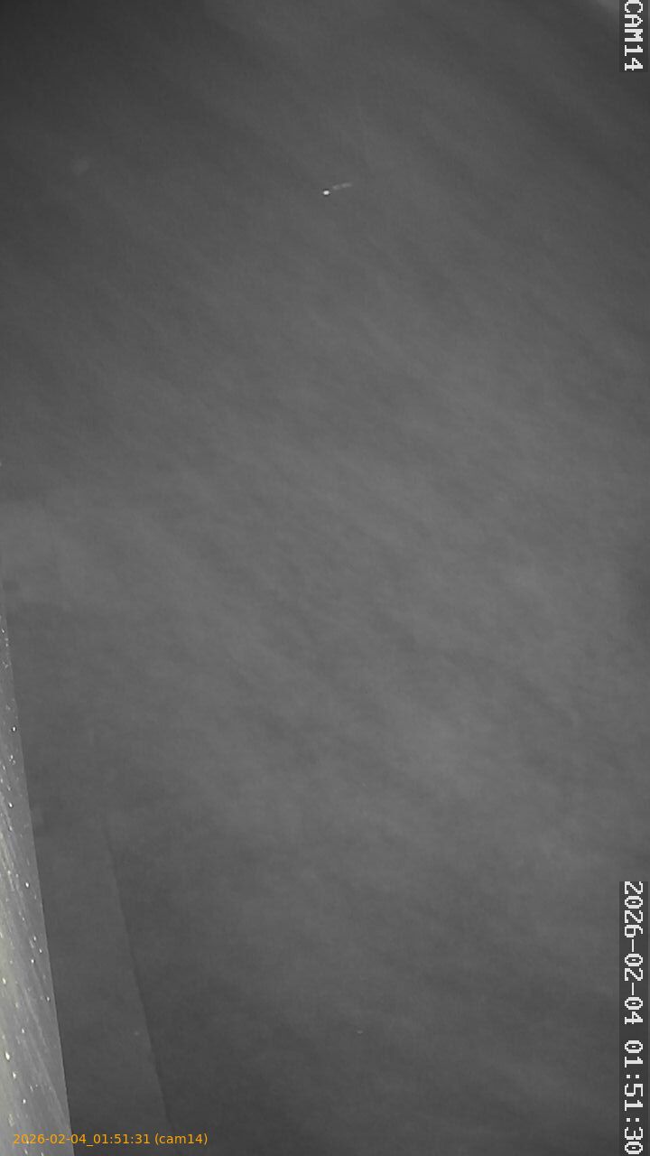 thumbnail_20260204015131