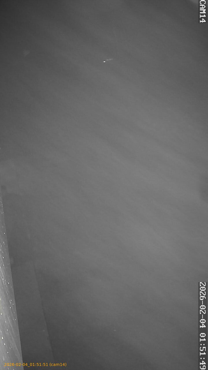 thumbnail_20260204015151