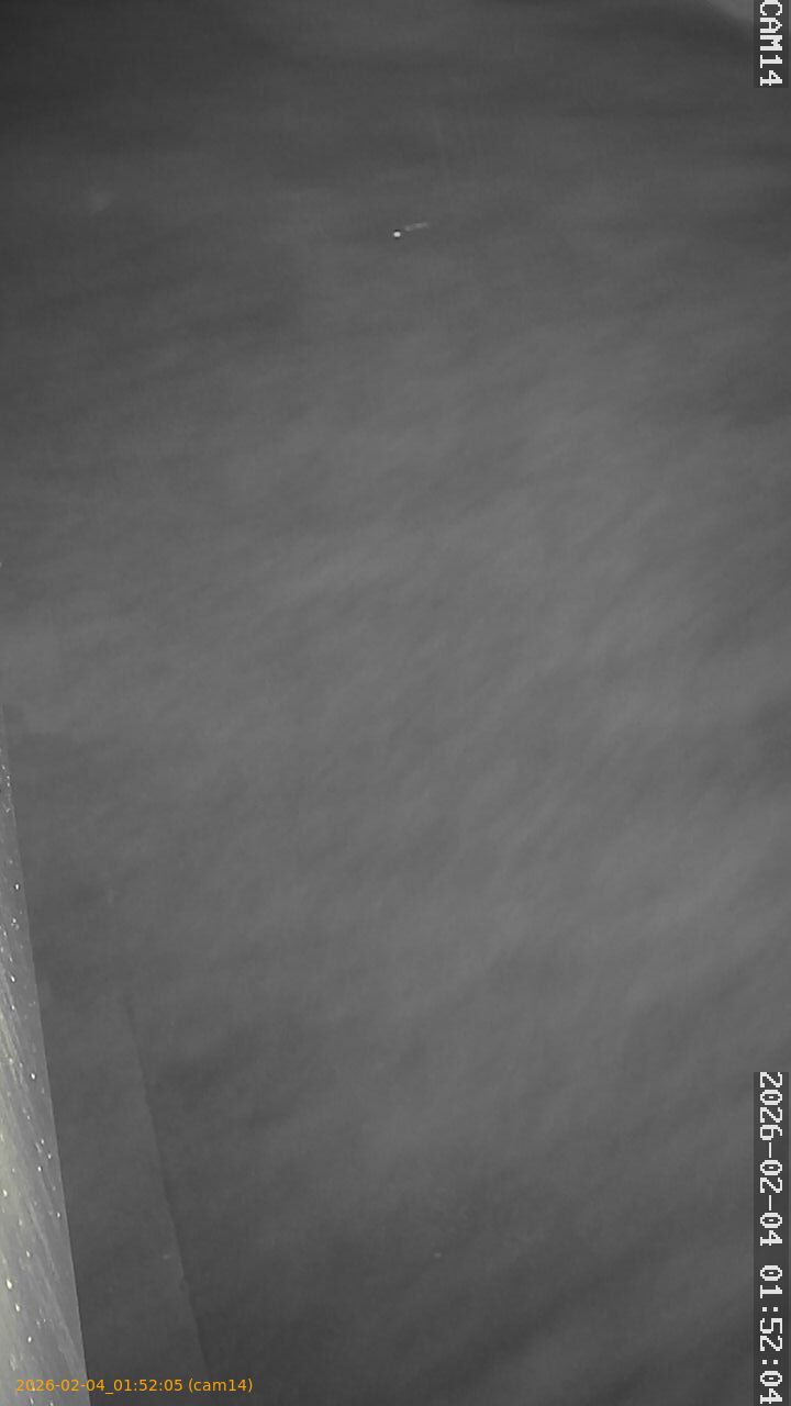 thumbnail_20260204015205