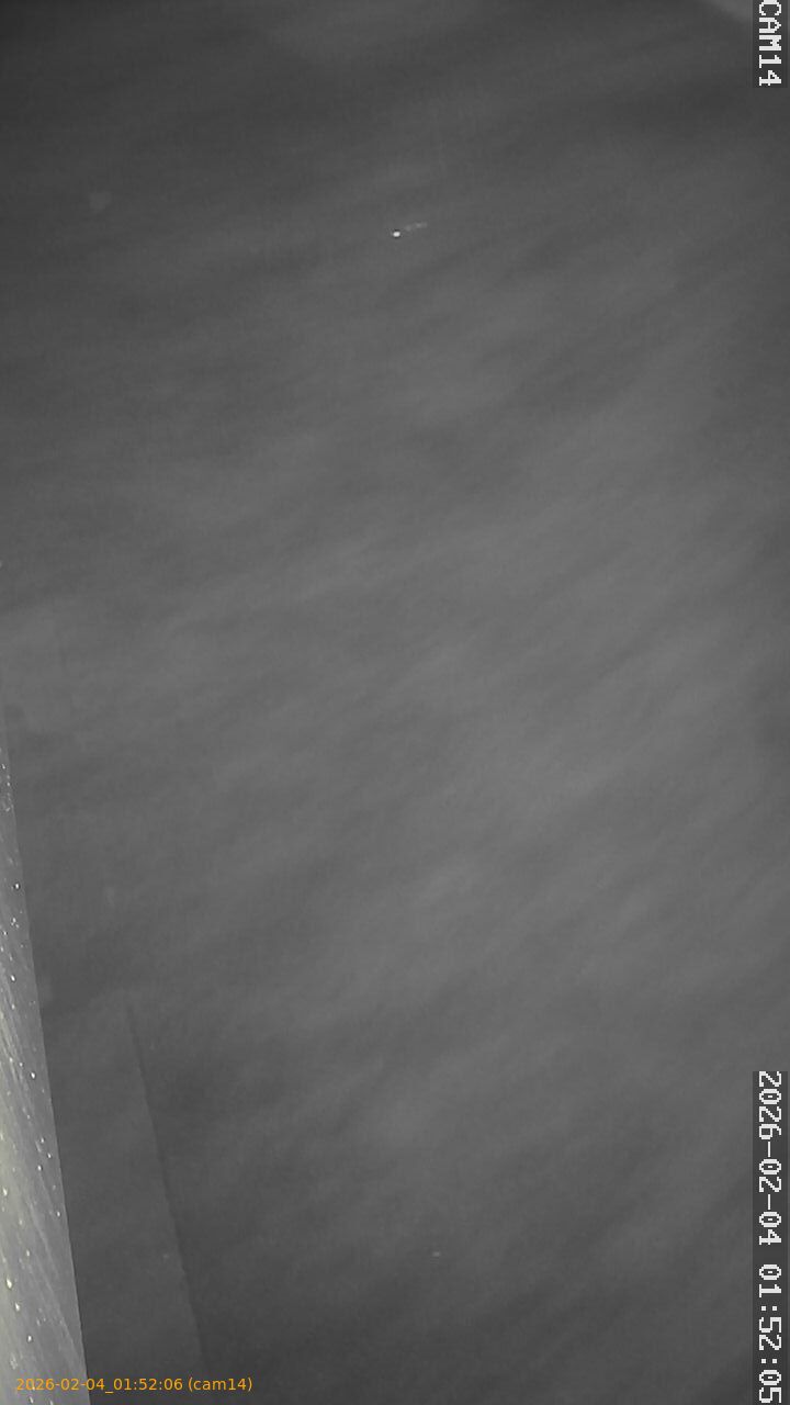 thumbnail_20260204015206