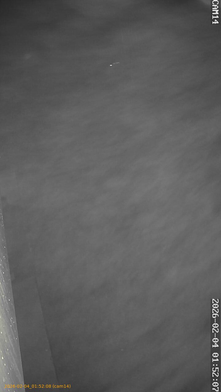 thumbnail_20260204015208