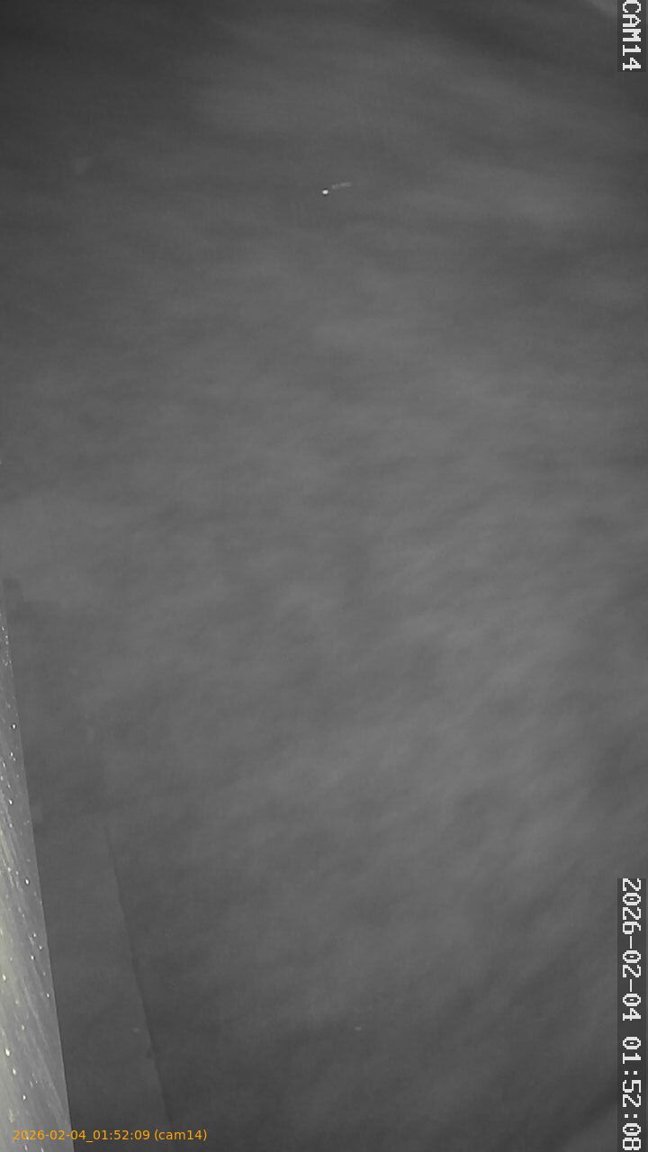 thumbnail_20260204015209