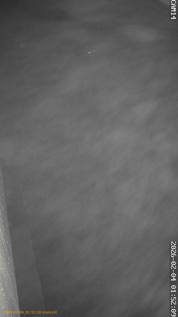 thumbnail_20260204015210