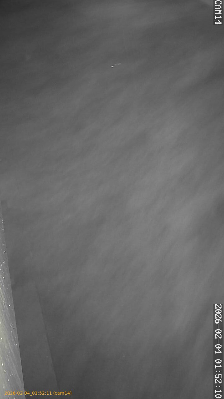 thumbnail_20260204015211