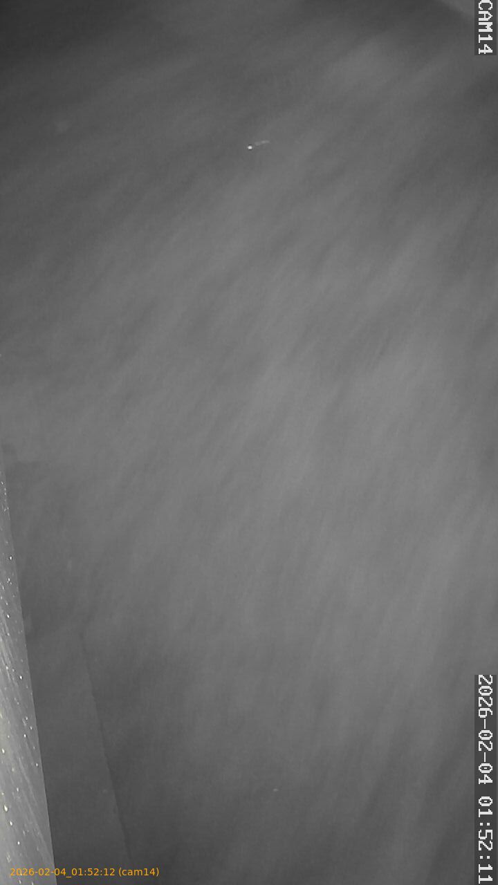 thumbnail_20260204015212