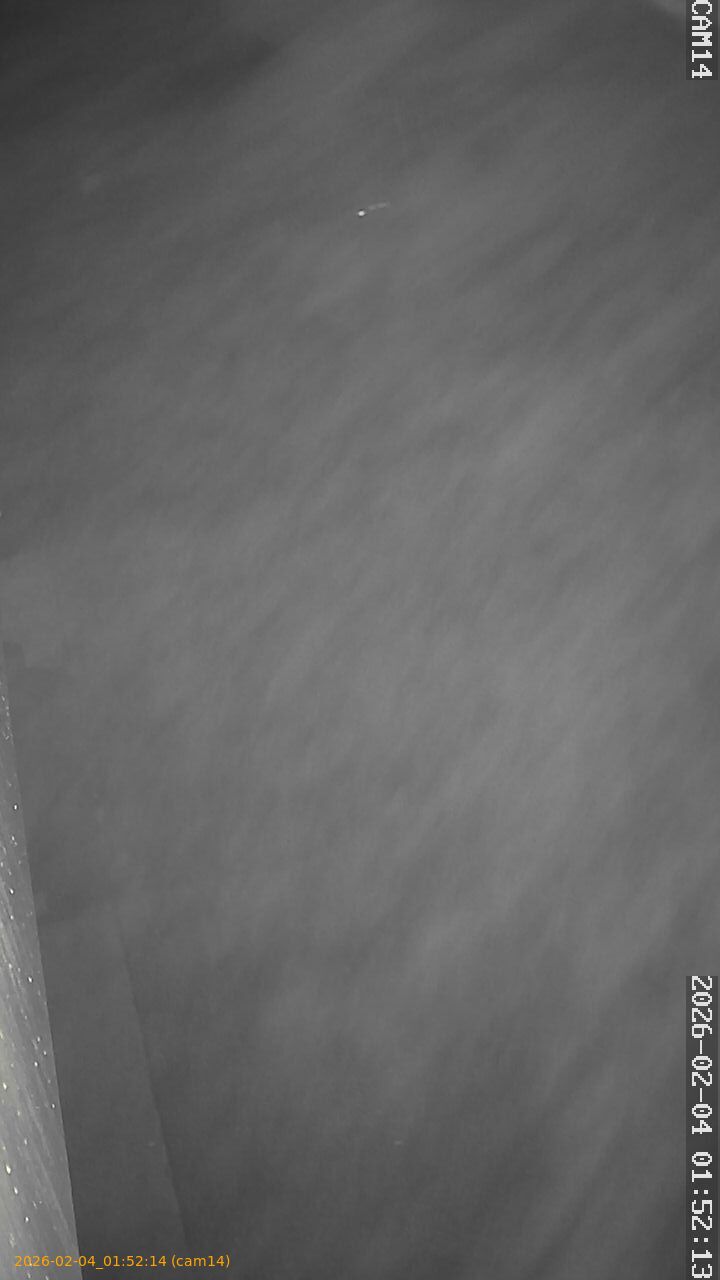 thumbnail_20260204015214