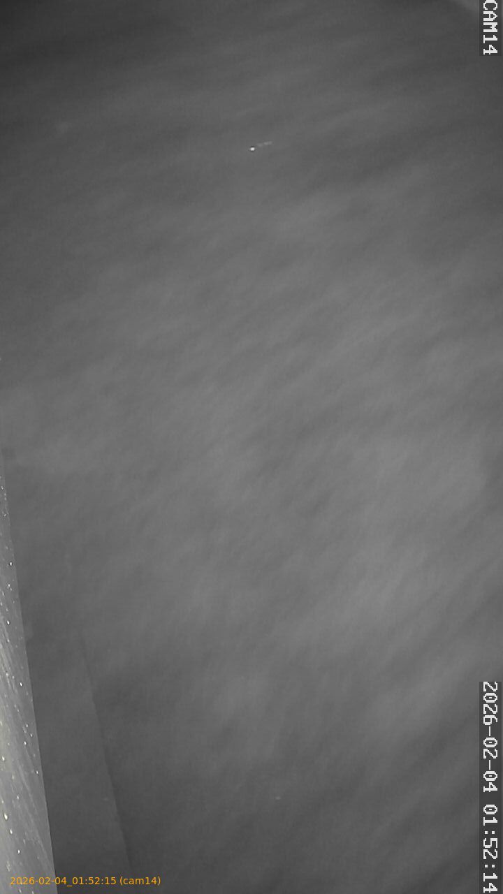 thumbnail_20260204015215