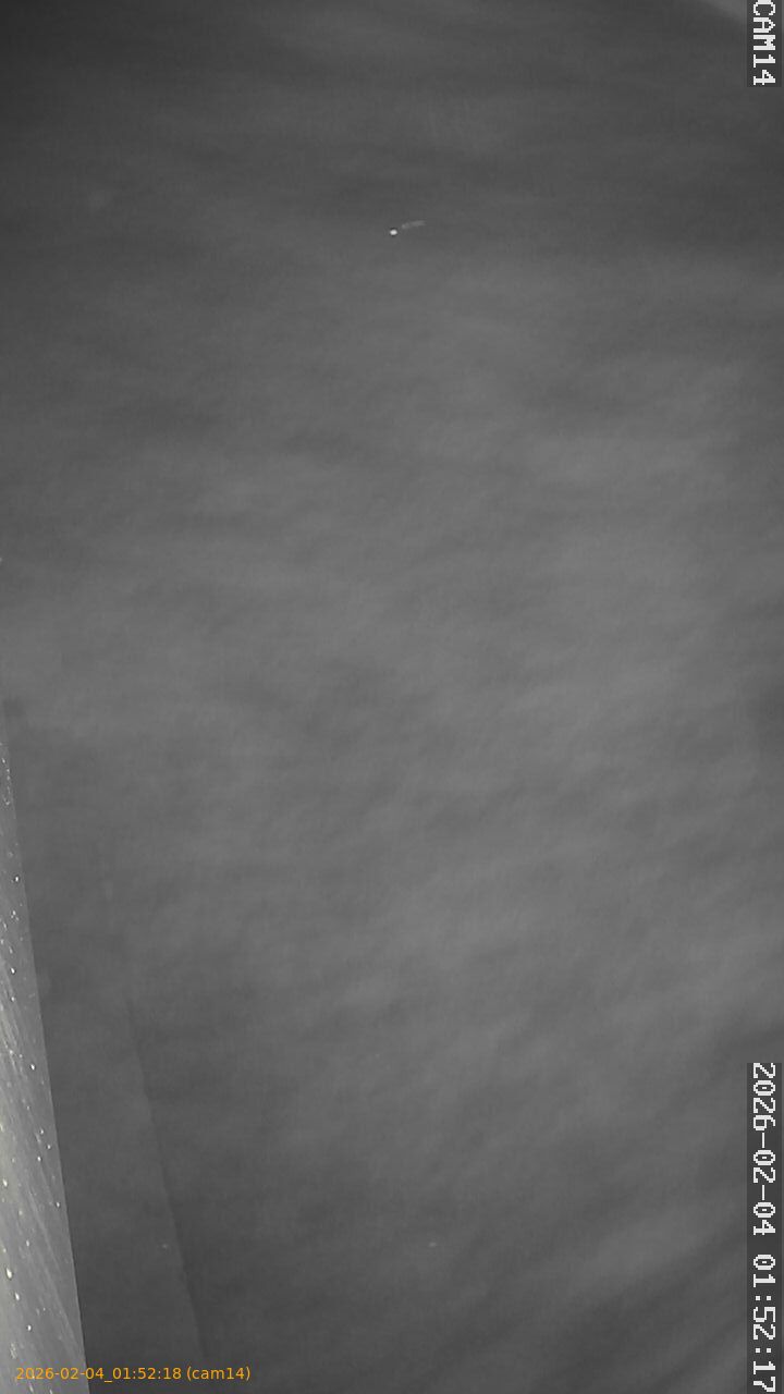 thumbnail_20260204015218