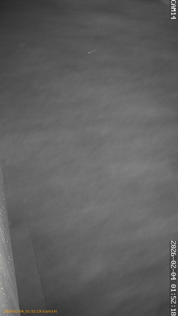 thumbnail_20260204015219