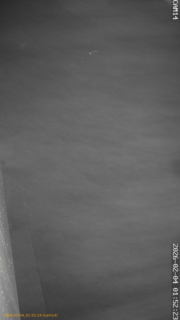 thumbnail_20260204015224