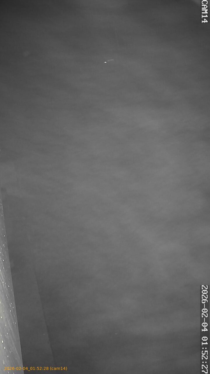 thumbnail_20260204015228