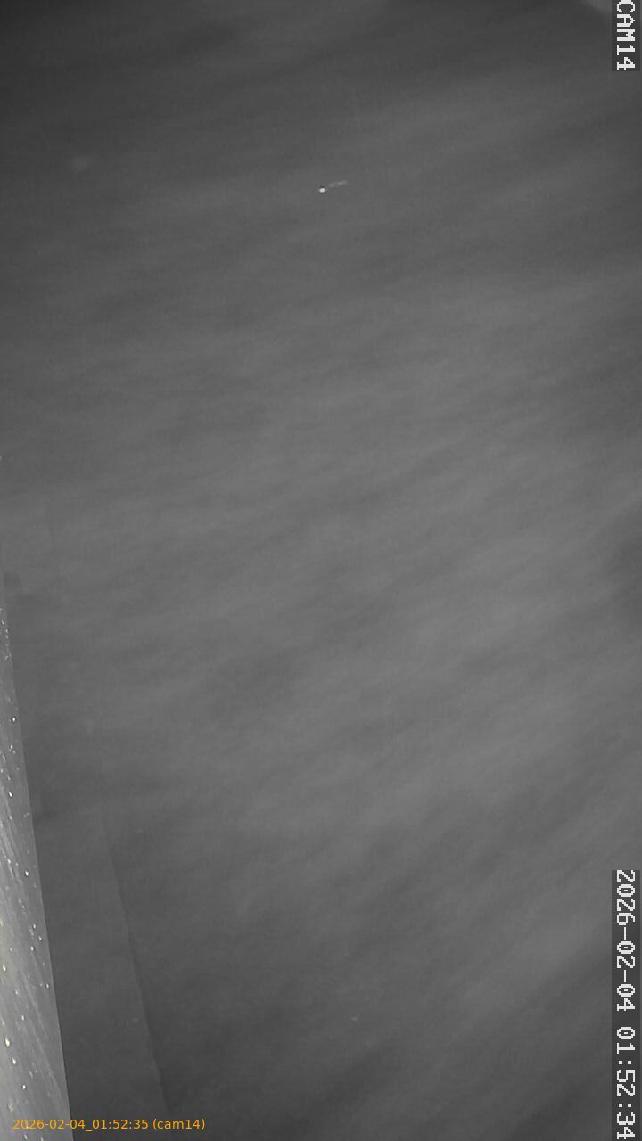 thumbnail_20260204015235