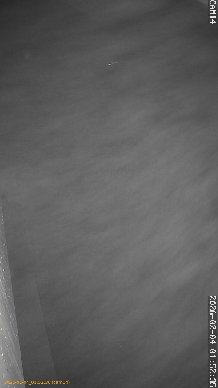 thumbnail_20260204015236