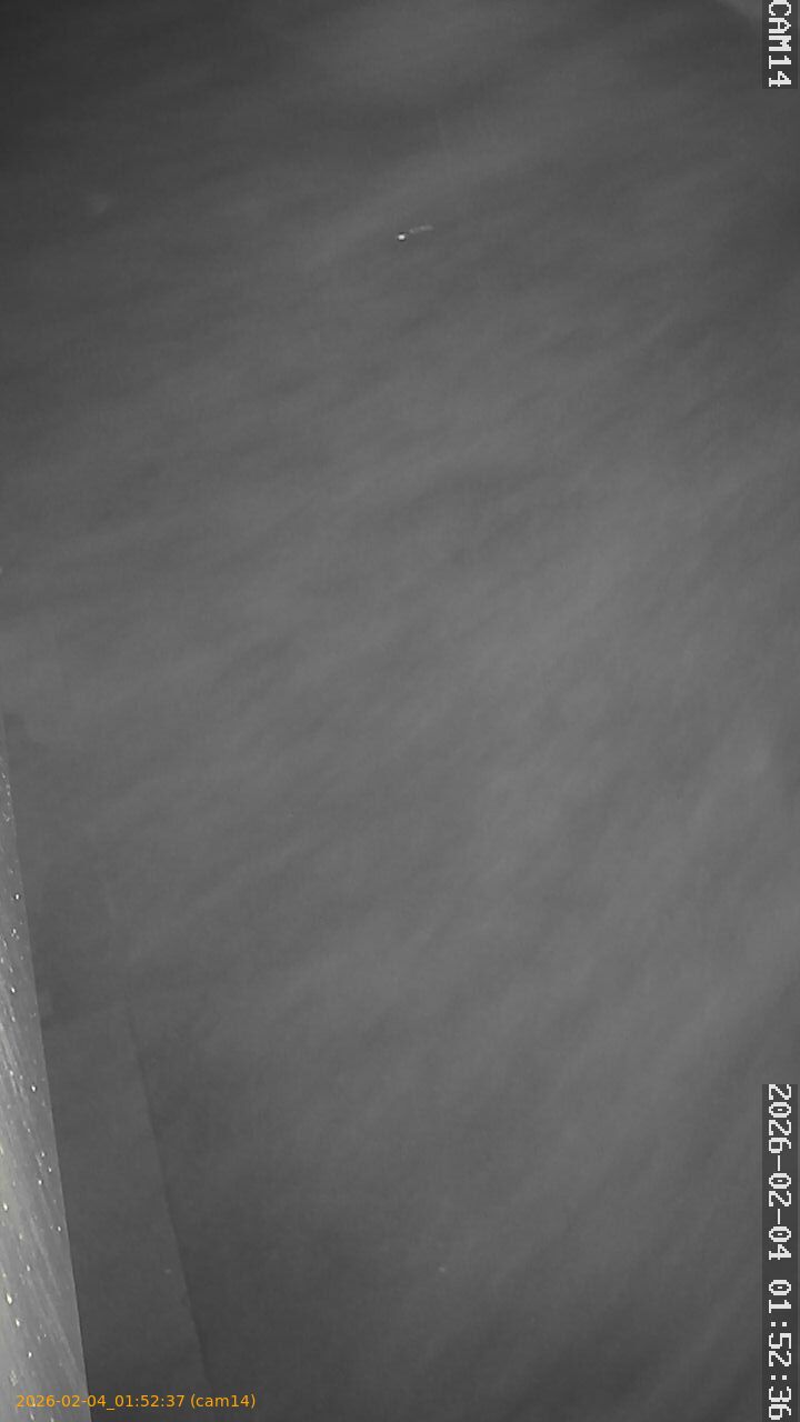 thumbnail_20260204015237