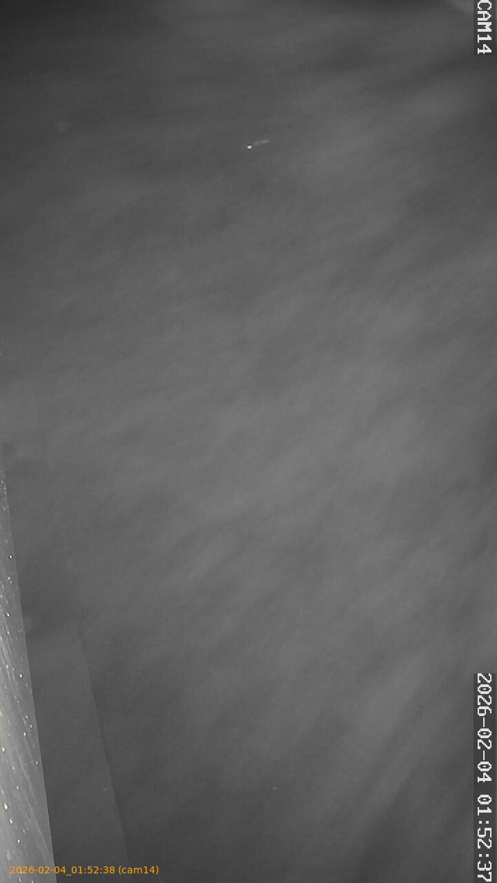 thumbnail_20260204015238