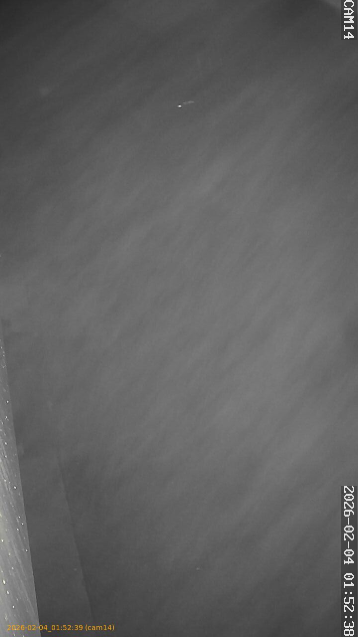 thumbnail_20260204015239