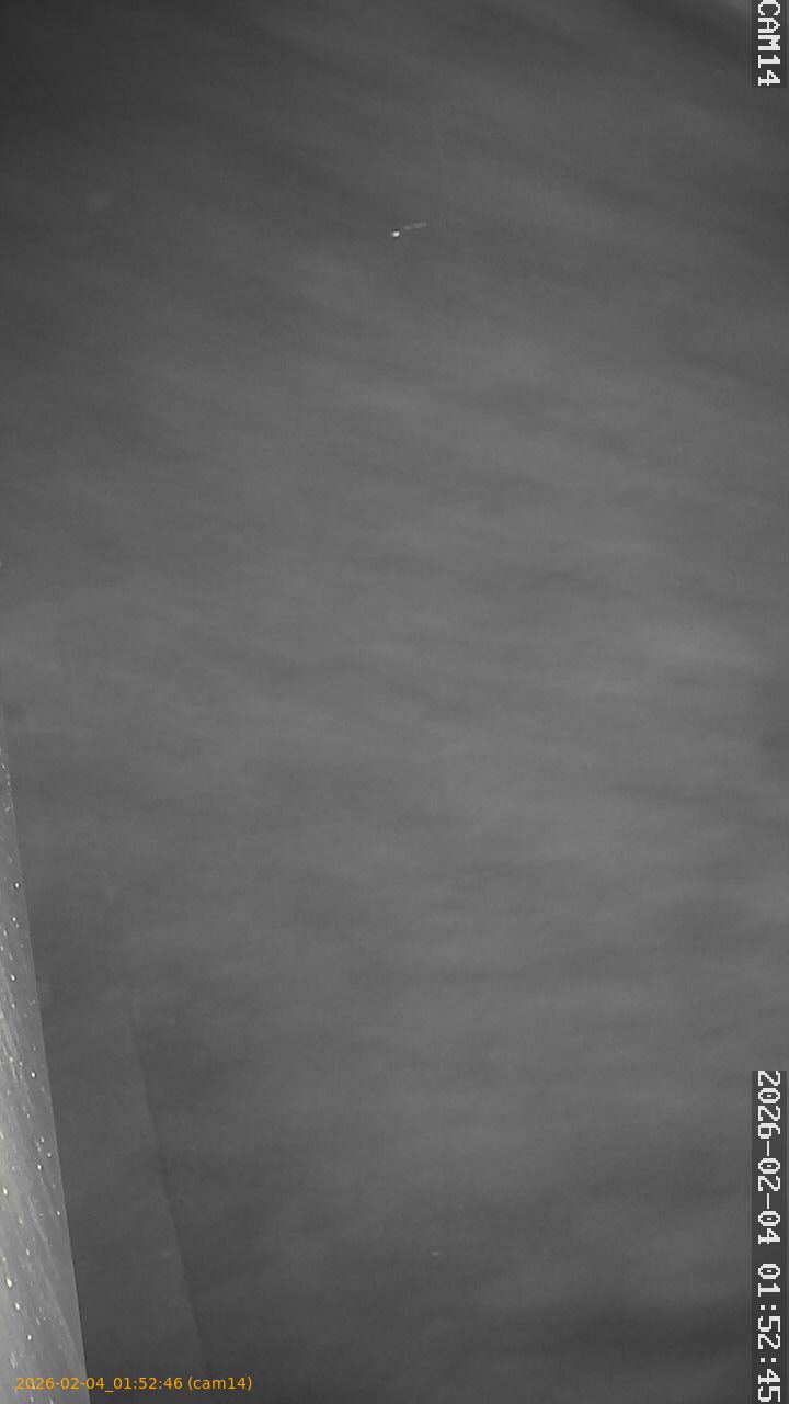 thumbnail_20260204015246