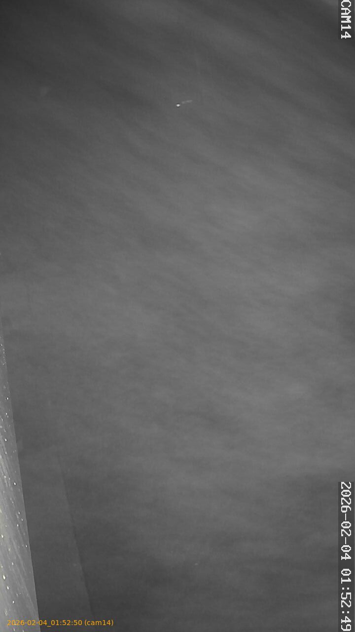 thumbnail_20260204015250