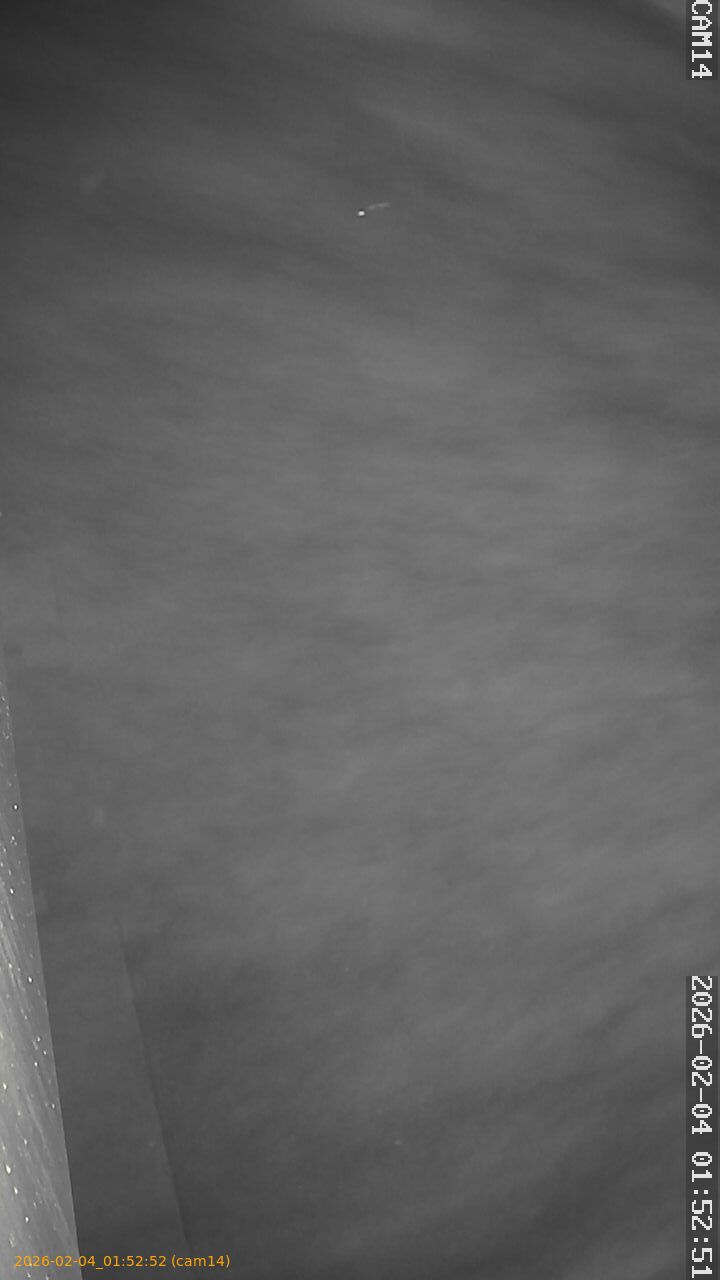 thumbnail_20260204015252