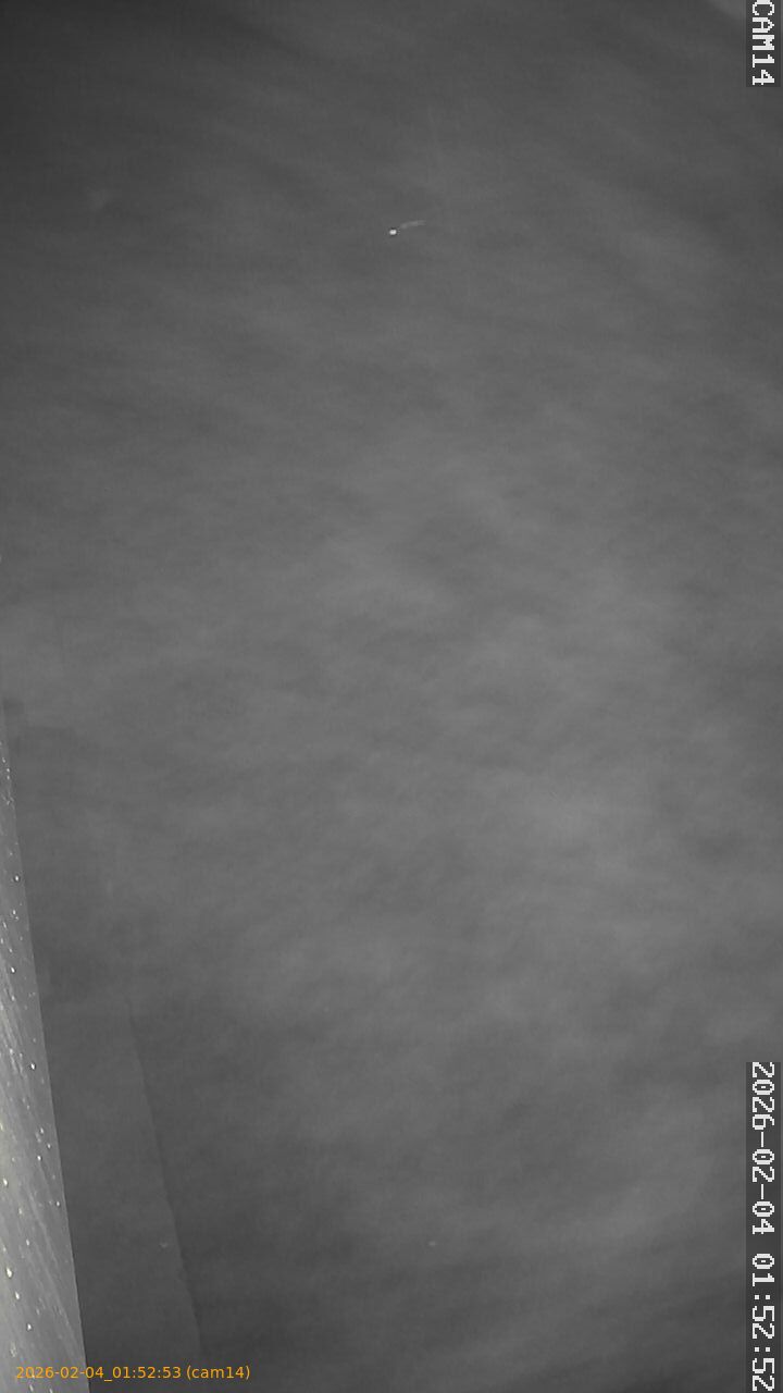 thumbnail_20260204015253