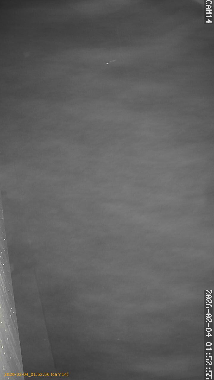 thumbnail_20260204015256