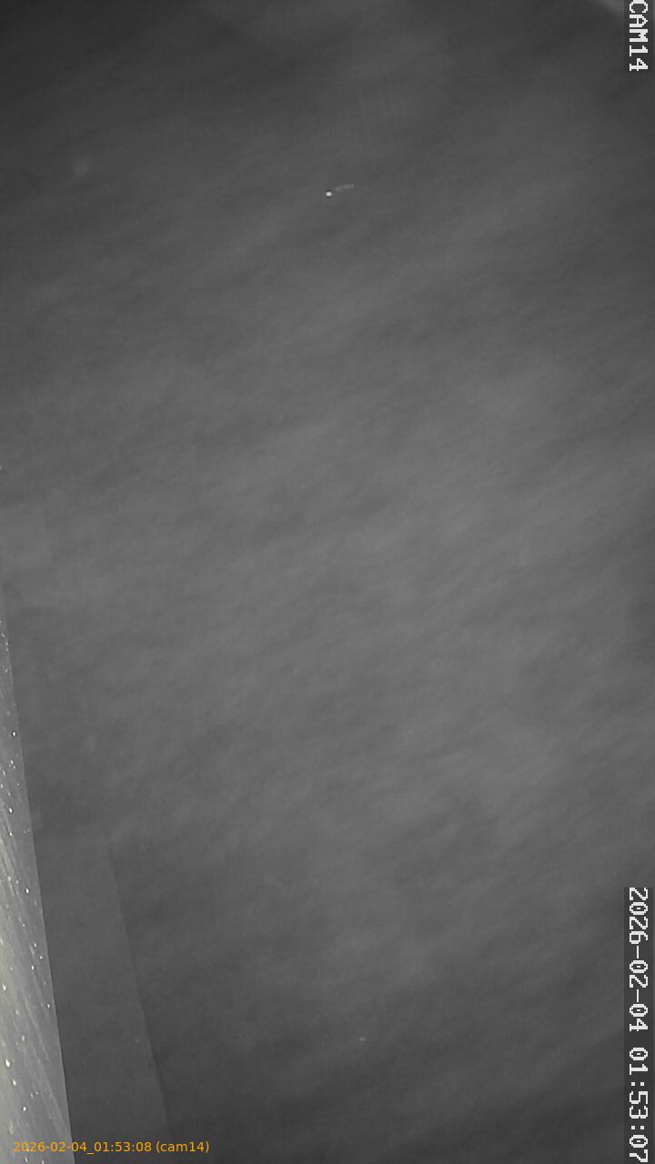 thumbnail_20260204015308