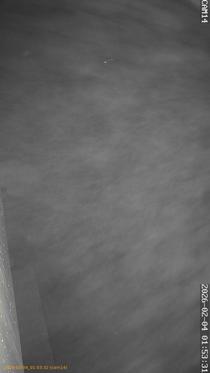 thumbnail_20260204015331