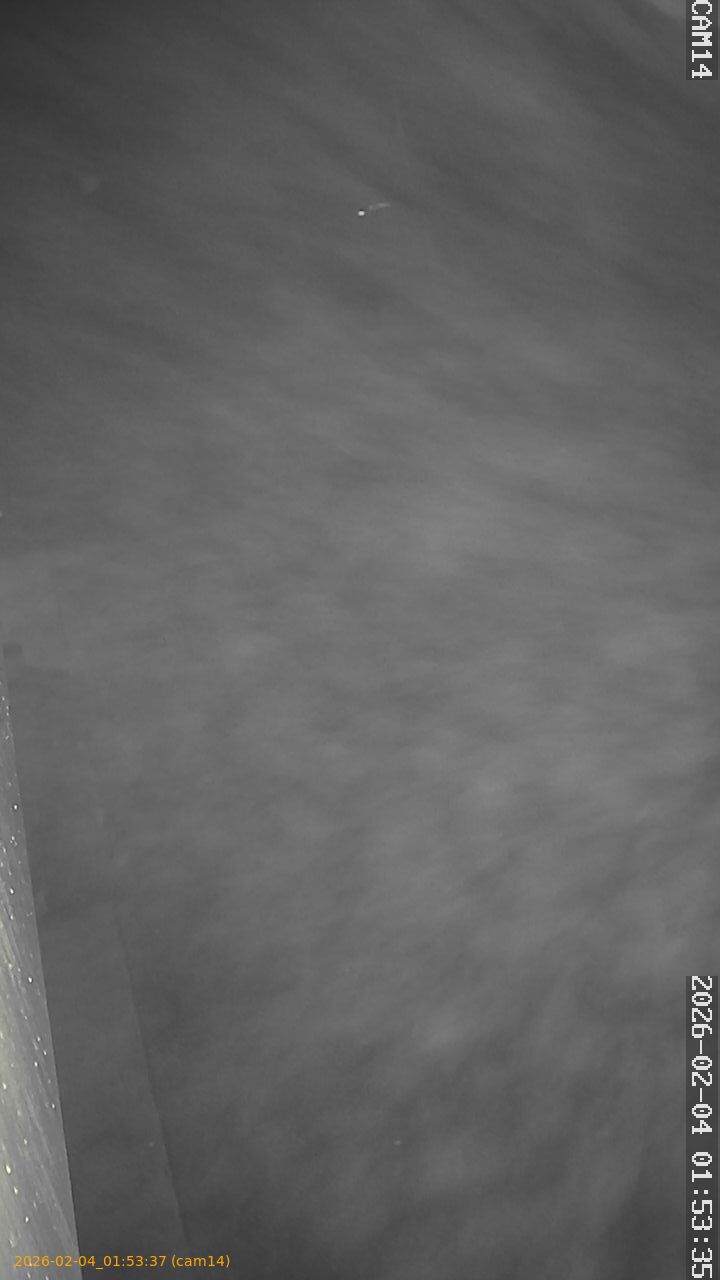 thumbnail_20260204015337