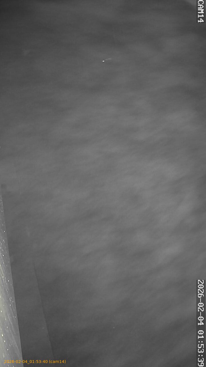 thumbnail_20260204015340